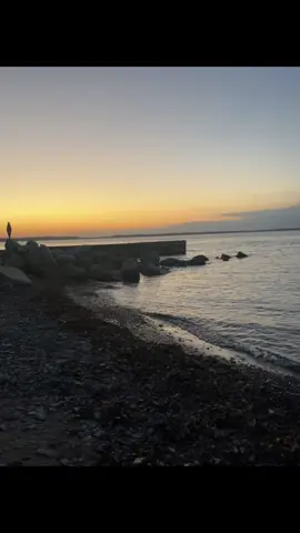 Free to use #livephoto #fyp 