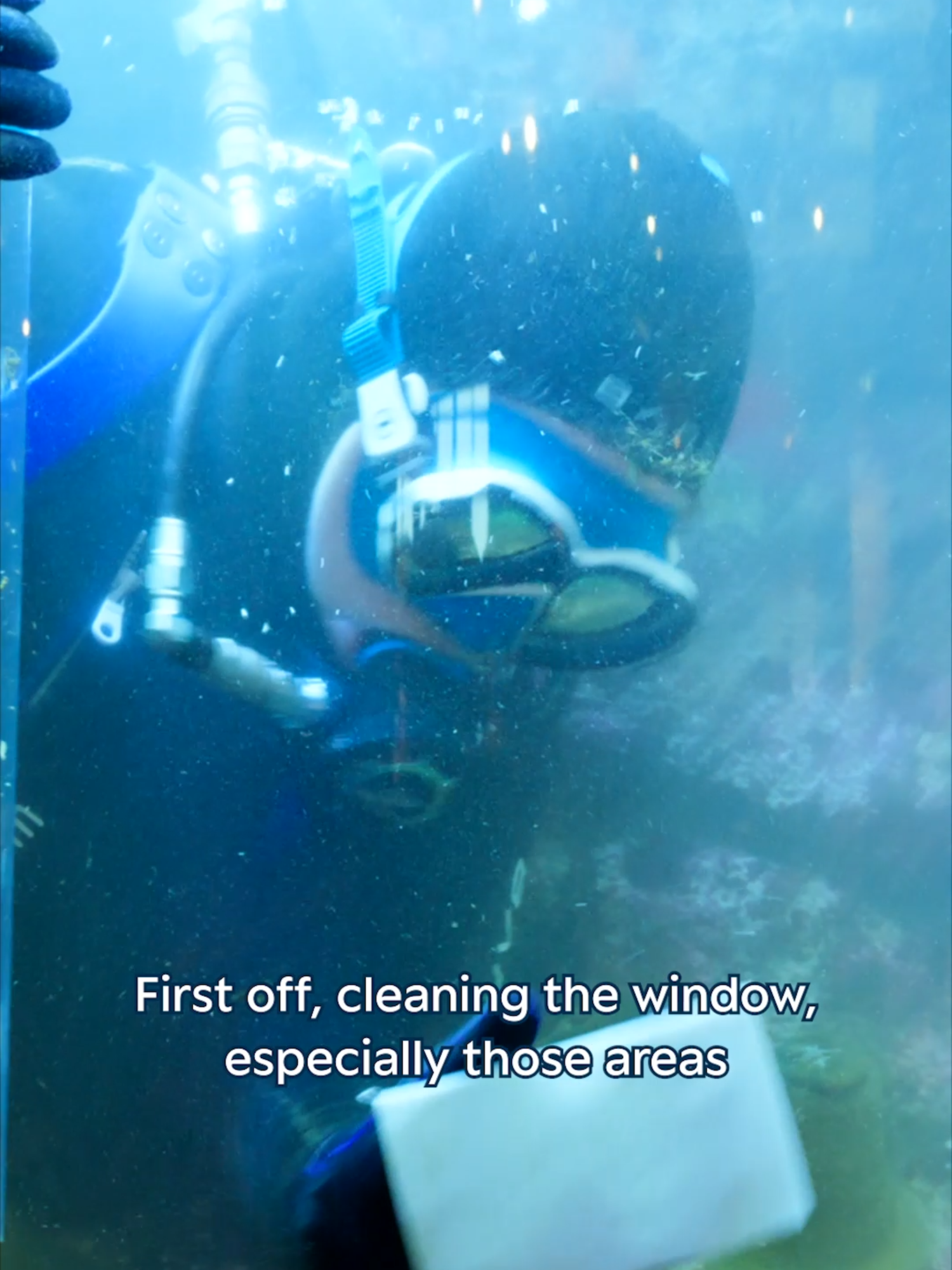 Dive right in! 🌊 🤿 🐟 Join Meriah for a day in the life of a dive officer at Monterey Bay Aquarium. From managing a motley crew of volunteers to training staff on the latest CPR techniques, Meriah’s number one priority is always the safety of her divers. Through her dedication to her craft, our dive team can focus on what they do best—keeping our animals healthy and well-fed and exhibits clean and pristine. Thanks to her leadership, our guests get a diver’s eye view into these incredible underwater habitats, experiencing the magic of the ocean up close. 🤿 #montereybayaquarium #aquariumtok #dayinthelife #diveofficer #diving