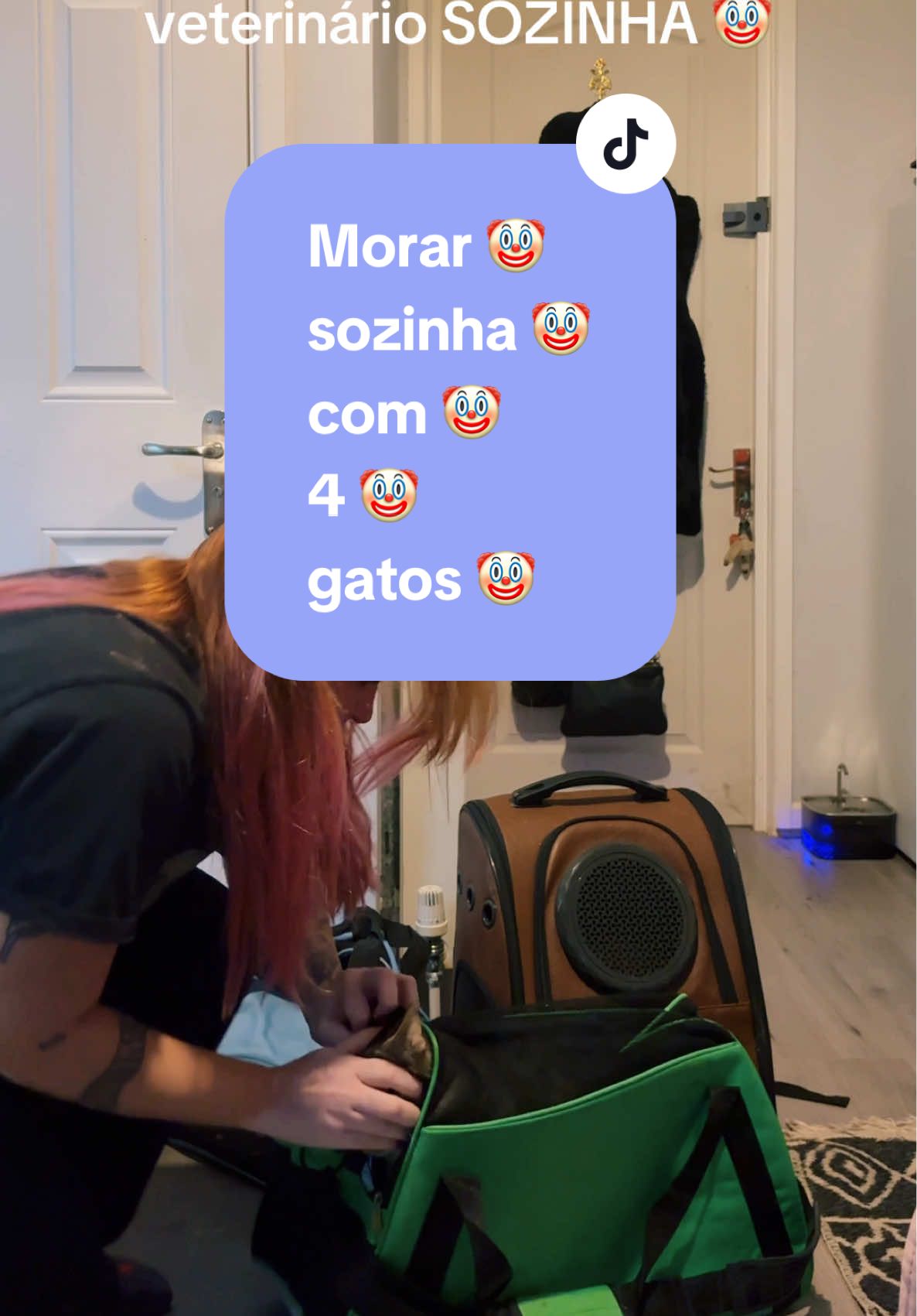 Levando 4 gatos pro veterinário sozinha - foi tipo começar a 3ª Guerra Mundial 🤡 Eu sempre quis ser independente Deus, mas nem tanto assim 🐈‍⬛🐈🐈‍⬛🐈 #gateiro #gateirasdobrasil #gatos #gatosdetiktok #veterinario #cats #livingalone #viversozinho #morandosozinha 