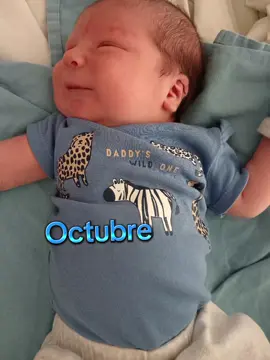 #bebe #viral #migordito#miwero💙🥰