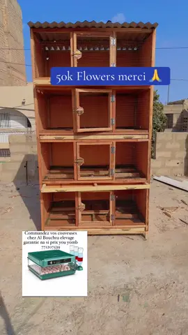 #albouchraelevage #50k❤️ #flowers #batterie #caille en #bois #couveuse #automatique #albouchrafoire2025 #saintlouis #senegal #pourtoi #foryou