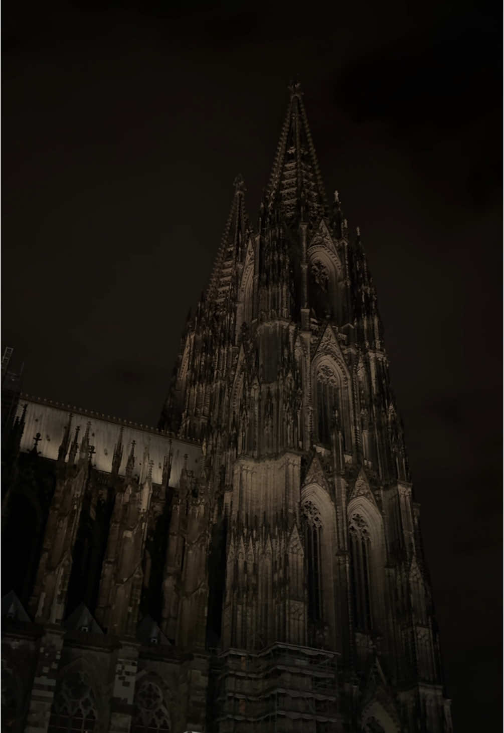 I feel like a vampire here 🖤 #cologne #cathedral #colognecathedral #colognegermany #gothic #gothicarchitecture #fyp #euro #german 