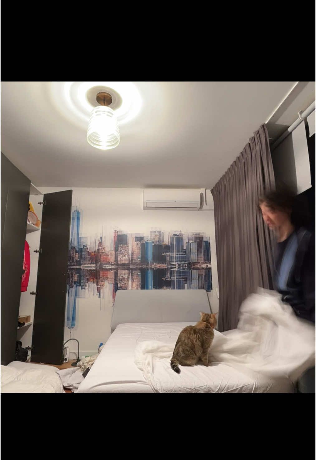 making the bed ft cat