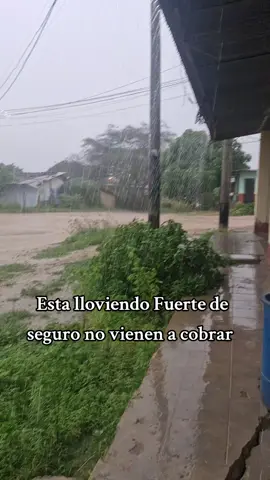 ni la Lluvia nos Detiene  #CompartamosBanco 🩷@Yoi🥰🌸 @rubi_alama 