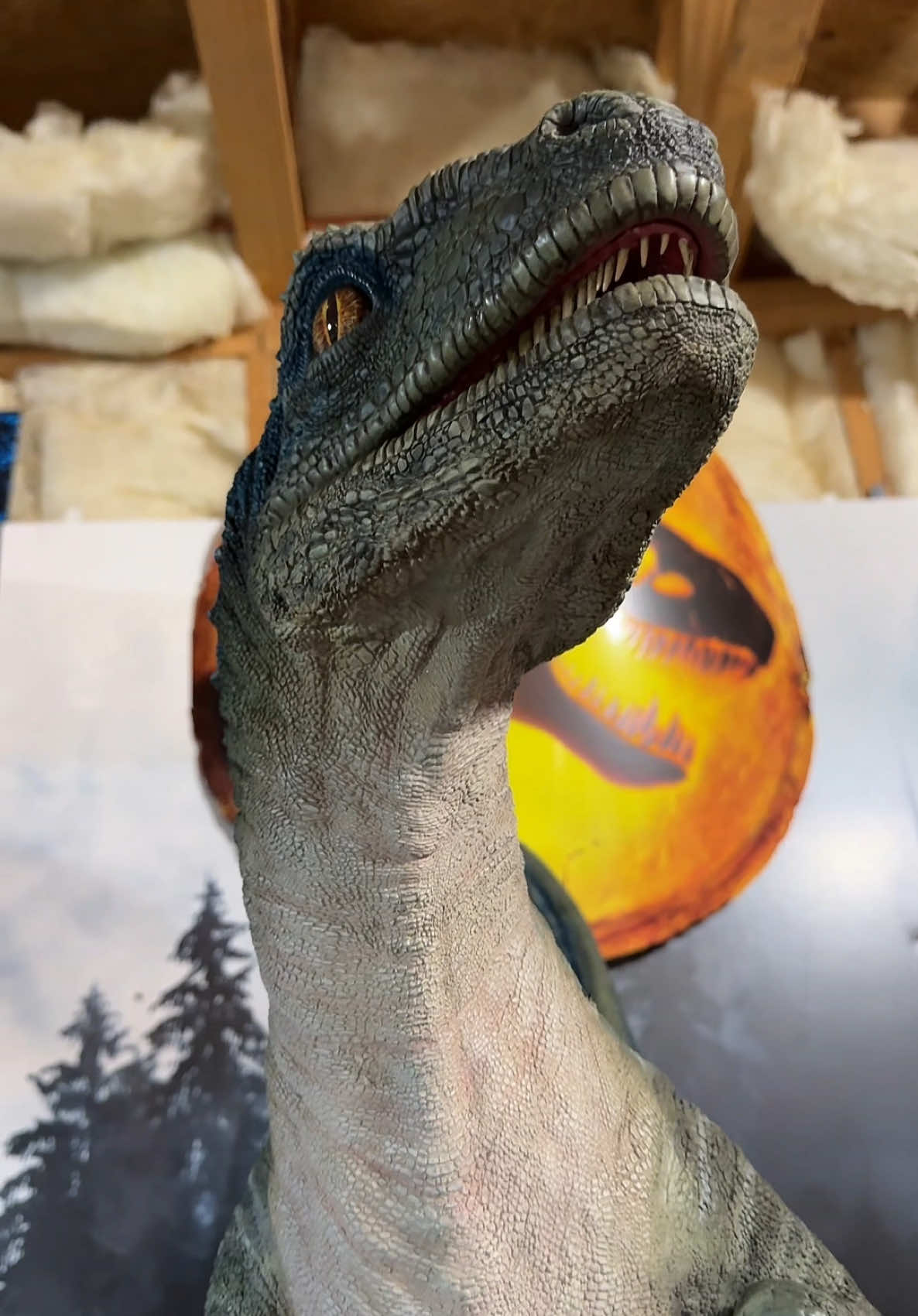 LIFESIZE Velociraptor Beta! #jurassicworld #collection #jurrasicpark #dinosaur #toys 