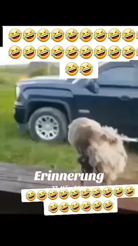 #erinnerung
