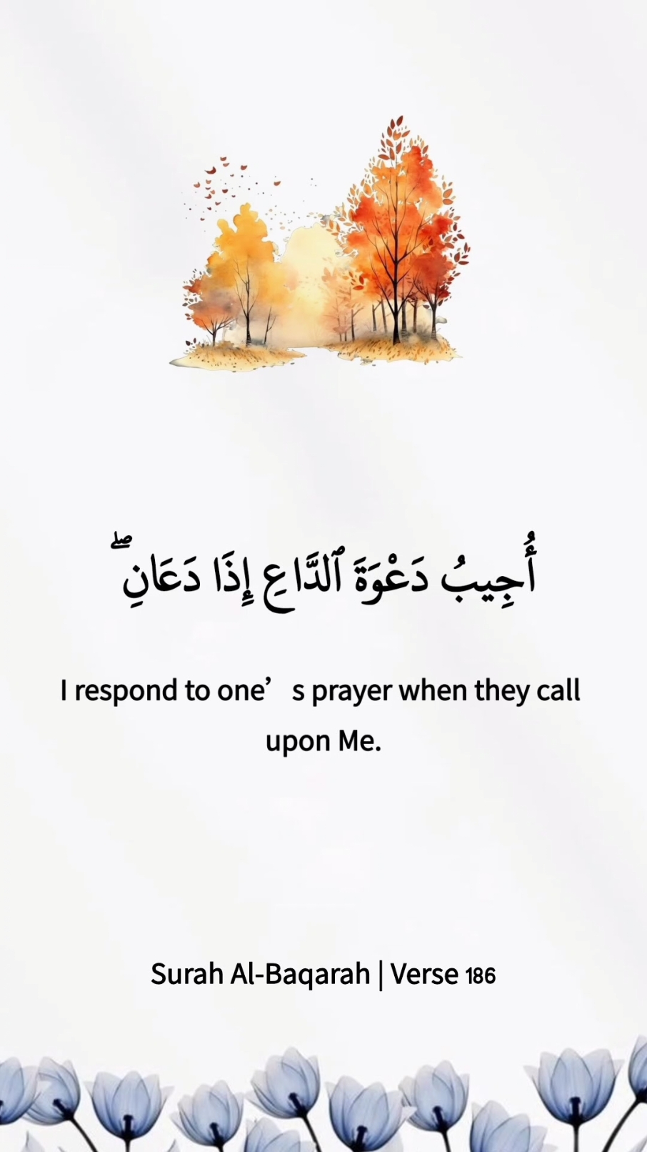 Surah Al-Baqarah 186 | Shaikh Muhammad Siddiq Al-Mishawi . . #animation #art #quran #quranrecitation #foryou #explore 