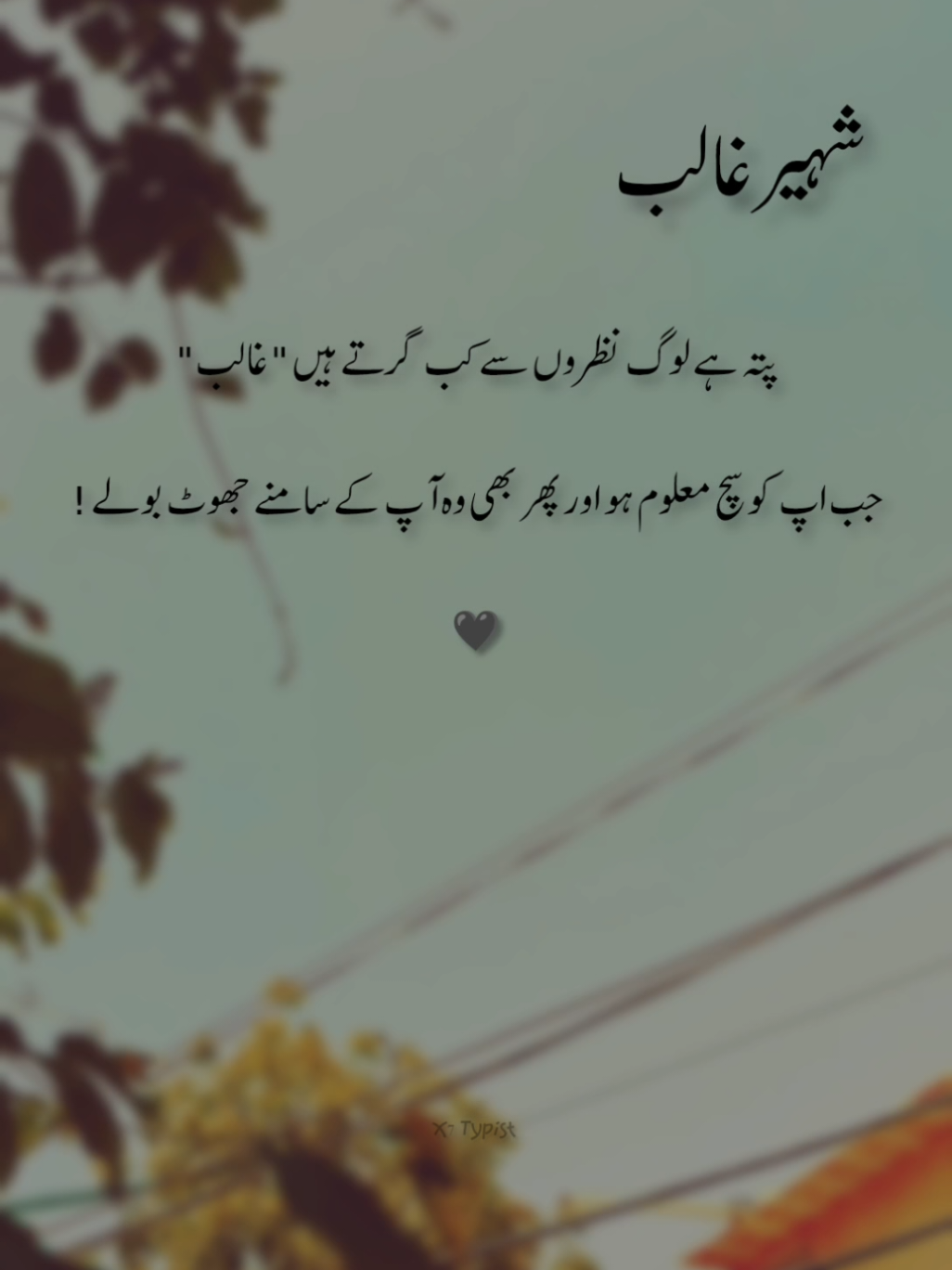 Shaheer Galib 🥀🌸❤️‍🩹 #dopalpoetry #urdupeotry #peotrystatus #aesthetic #1millionaudition #trending #fypシ #viraltiktok #x7typist #shaheergalib 