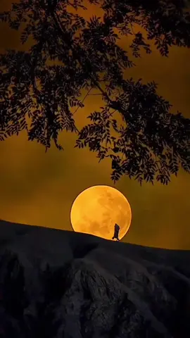 #clinteastwood lune 