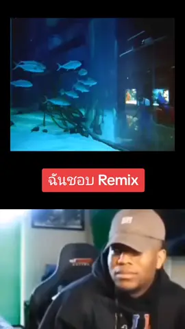 #ปะป๊าเอ้ 