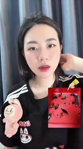 Viên diệt gián giúp đánh bay nỗi muộn phiền trong lòng bạn #viengietgiansinhhoc #viengietgiansinhhoccamb #gietgian #hươngđâymà 