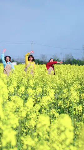 Wlcome to Wenjiang#funny#dailylife #wenjiang 