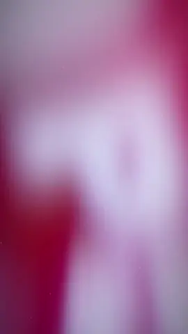 Chara nâng tầm sắc đẹp #Chara #sacdep #myphambienhoa