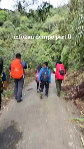 🙌 #dempo #dempo3159mdpl #gunungdempo #fyp 