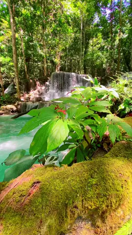This is Kamumu Waterfall. Kamu akan menemukan ketenangan yang belum pernah kamu temukan dimanapun✨💦🍃 📍KamumuWaterfall  #xybca #beranda #fyppppppppppppppppppppppp #nature #pesonaindonesia #wonderfulindonesia #beautifuldestinations #fyp #luwukpride🏝🔥 #luwukbanggai #meditation #kamumuwaterfall #exploreindonesia #explore #explorepage 