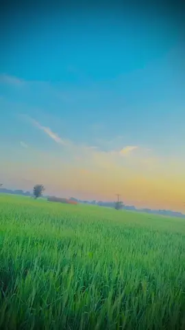 #flakiitha🙏🙏🙏 #BALOCHi #CapCut #♥️⭐️flakibarbie20_ #flakiisss___🔥♥️🍃 ##flakiitha😈 #flakiitha🙏🙏🙏 #00kviews✔️ #🖤🖤🖤 #00kviews✔️tiktok🌎🔥 