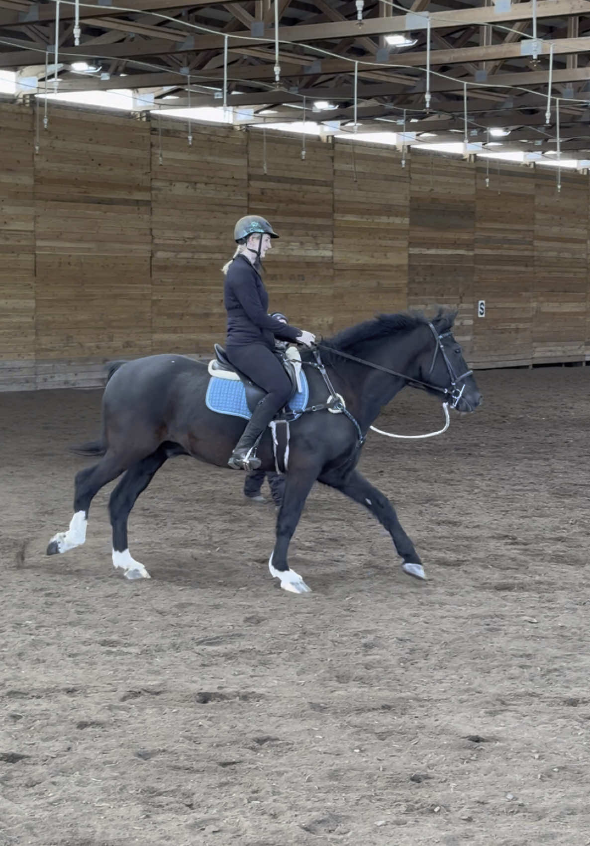 Some would say I like to ride… 😏 #horsegirl #horses #rider #equestriangirl 