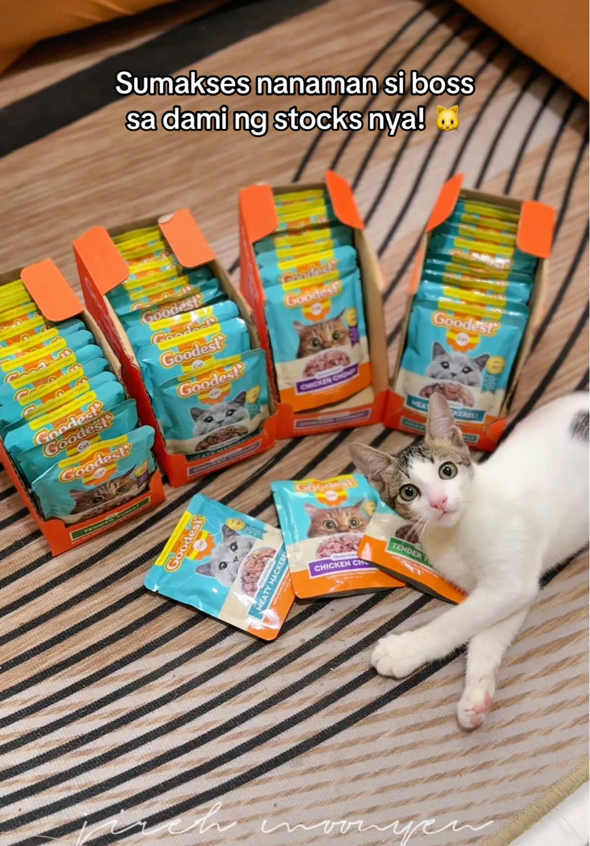 Meet my almost 4 months old rescued cutie, Kif. 🐱  Isa talaga 'tong Goodest wet food sa mga favorite niya kaya nag restock na ng marami si meowmy. Thank you sa voucher, Tiktok! Hehe 😝  #goodest #catfood #wetcatfood #goodestcatfood 