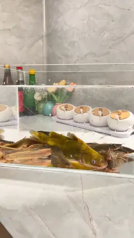 Sục rửa thực phẩm, máy rửa rau củ không dây tự động xoay