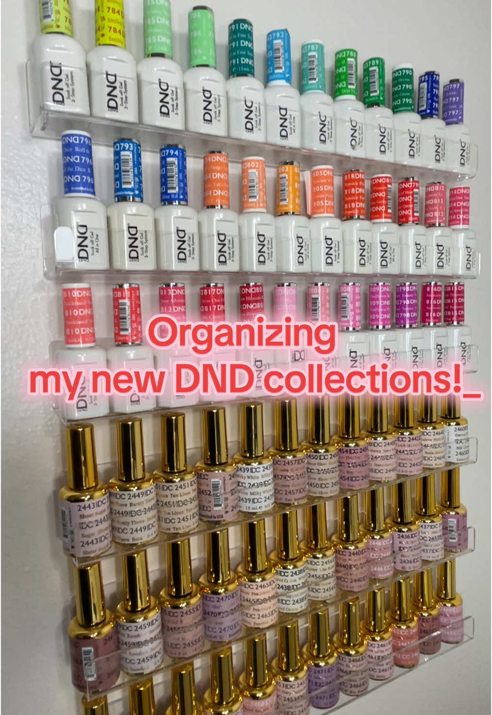 #BOGOFree @dndgel Bought 1 DND collection and got the other one free!!! Buy 1 get 1  #fyp #nail #nails #nailart #asmr #restocking #restockingasmr #foryoupage #foryou #nailsvideotutorial #fypage #dndnails #dndnailpolish 
