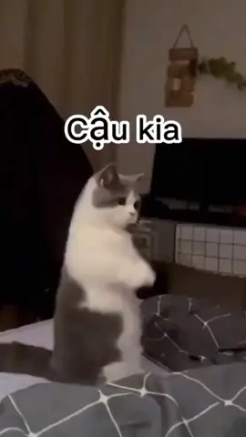đây là video đầu tiên của mik mong mn ủng hộ ạ😘