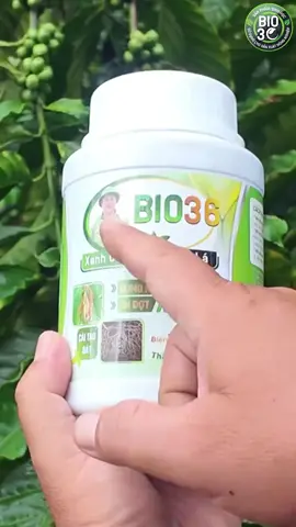 Mua Bio36 tại đây #saurieng #nôngnghiep #phanbon #bio36
