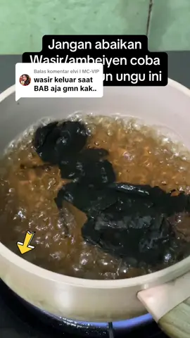 Membalas @elvi I MC-VIP  Jangan abaikan wasir/ambeiyen coba dibantu dengan rebusan daun ungu ini #wasirdalam  #daunhandeleum #wasirambeien 