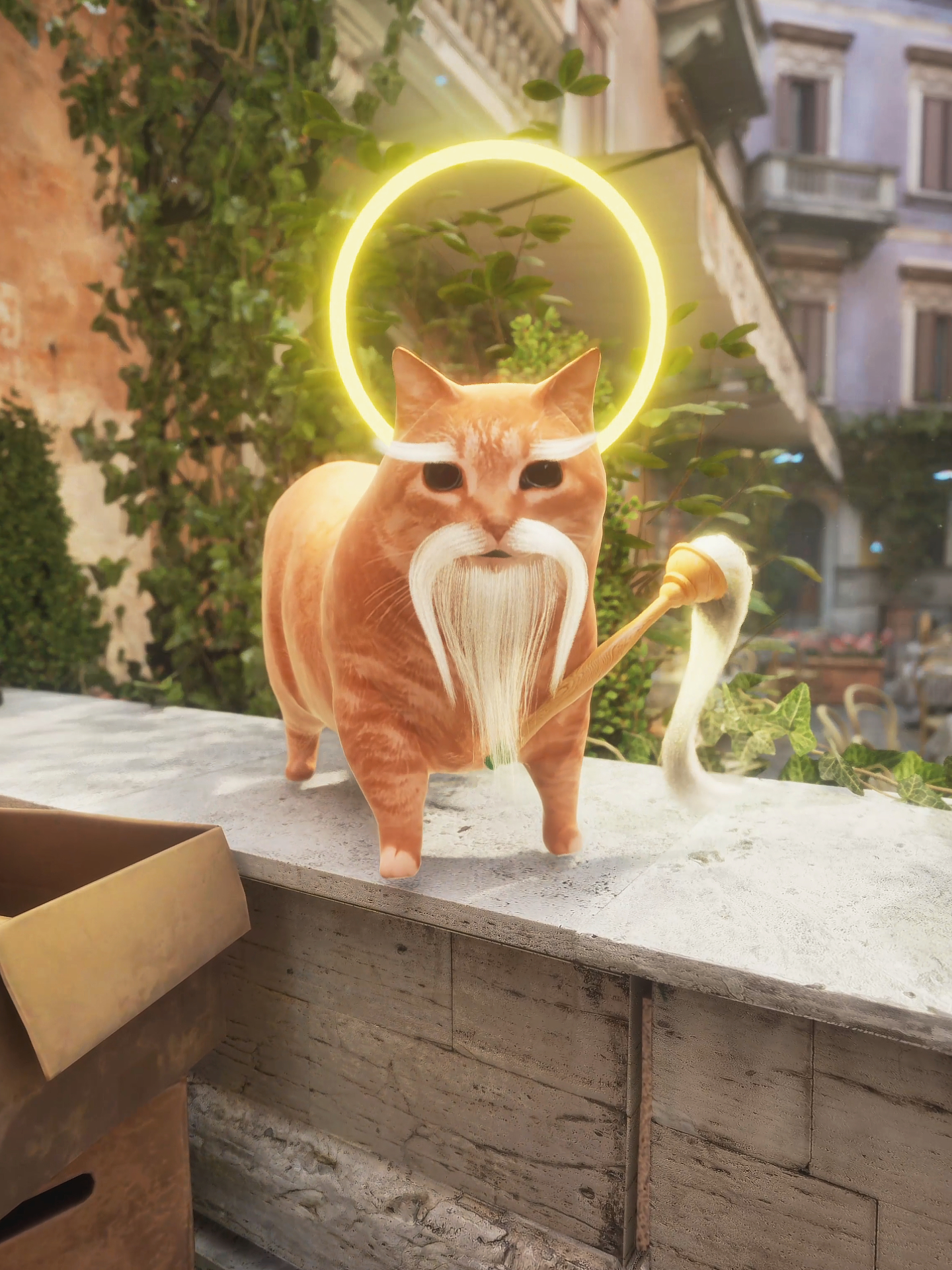 Oiiai Cat's fashion show #memes #oiiaiiooiiai