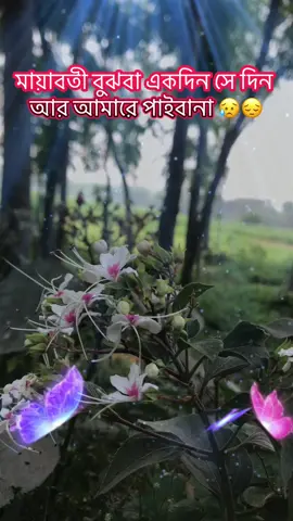 মায়া ছাড়তে পাড়লাম না 😥😔😔😔😔😔😔#চাটমোহর 