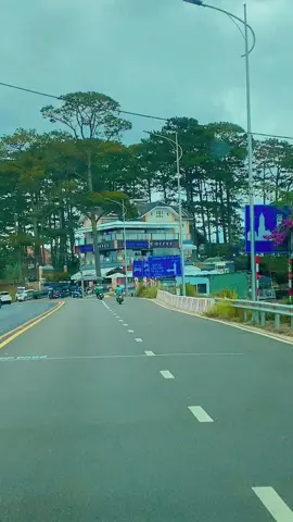 Đà Lạt thành phố ngàn hoa #thinhhanh #xuhuong #đàlạt #trending 