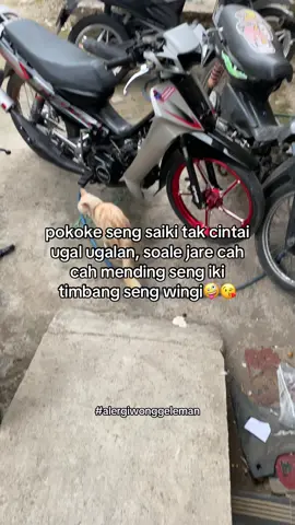 @avril🫧🪼 🥰 #2stroke #fizragstyle 