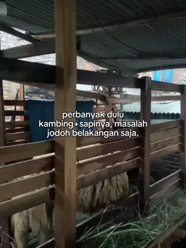 ijeh nom kok bos #fypage #fypage #fypシ゚viral🖤tiktok #fypシ゚viral🖤tiktok #peternakmuda #peternaksapiindonesia #peternaksapiindonesia #peternakan #peternakan #peternakkambing #peternakmilenial #peternakmilenial 
