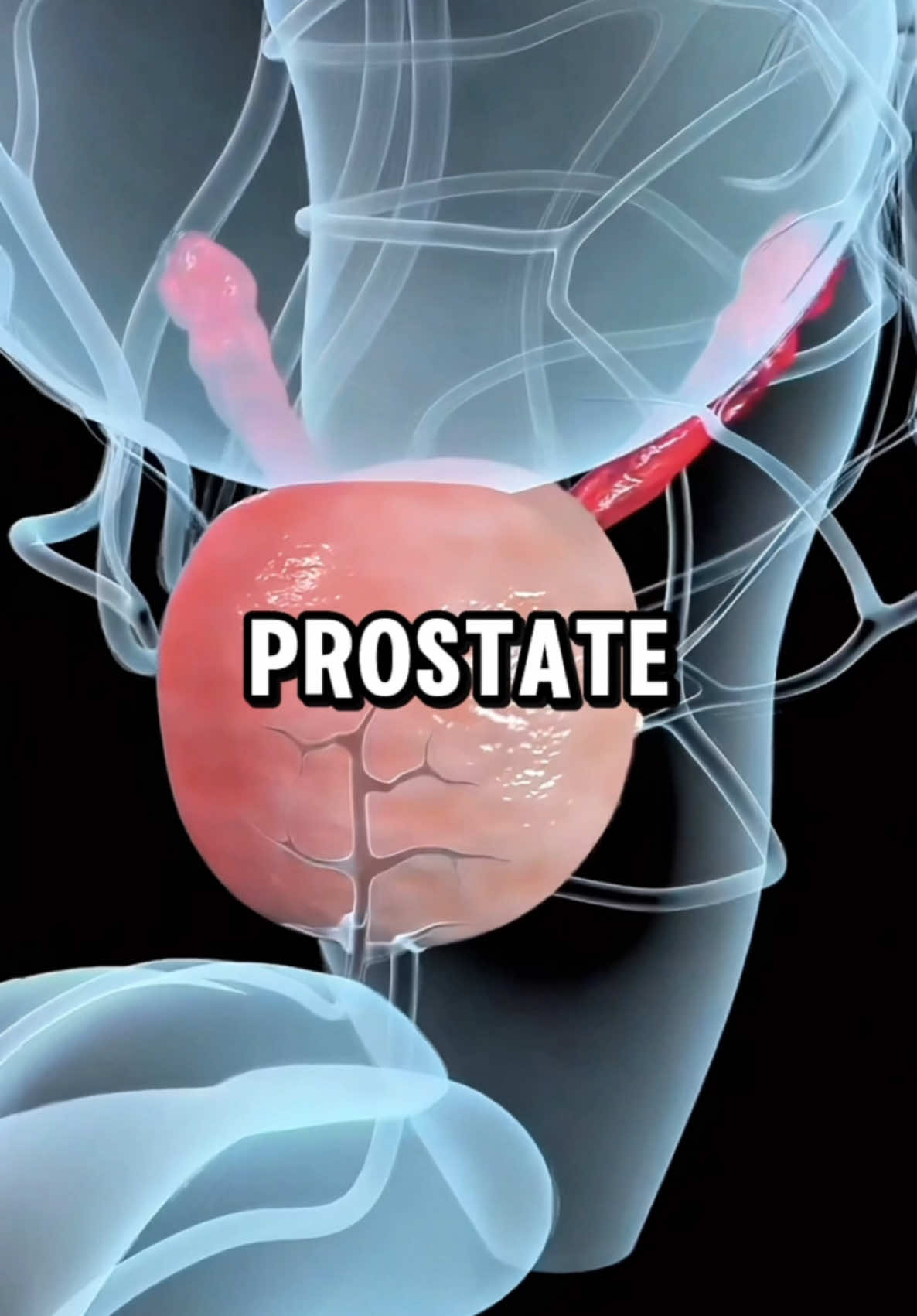 7 Warning Signs of Prostate Problems Every Man Should Know ⚠️🧔‍♂️🩺 .. #health #healthtips #healthylifestyle #realhealth #prostat #menhealth 