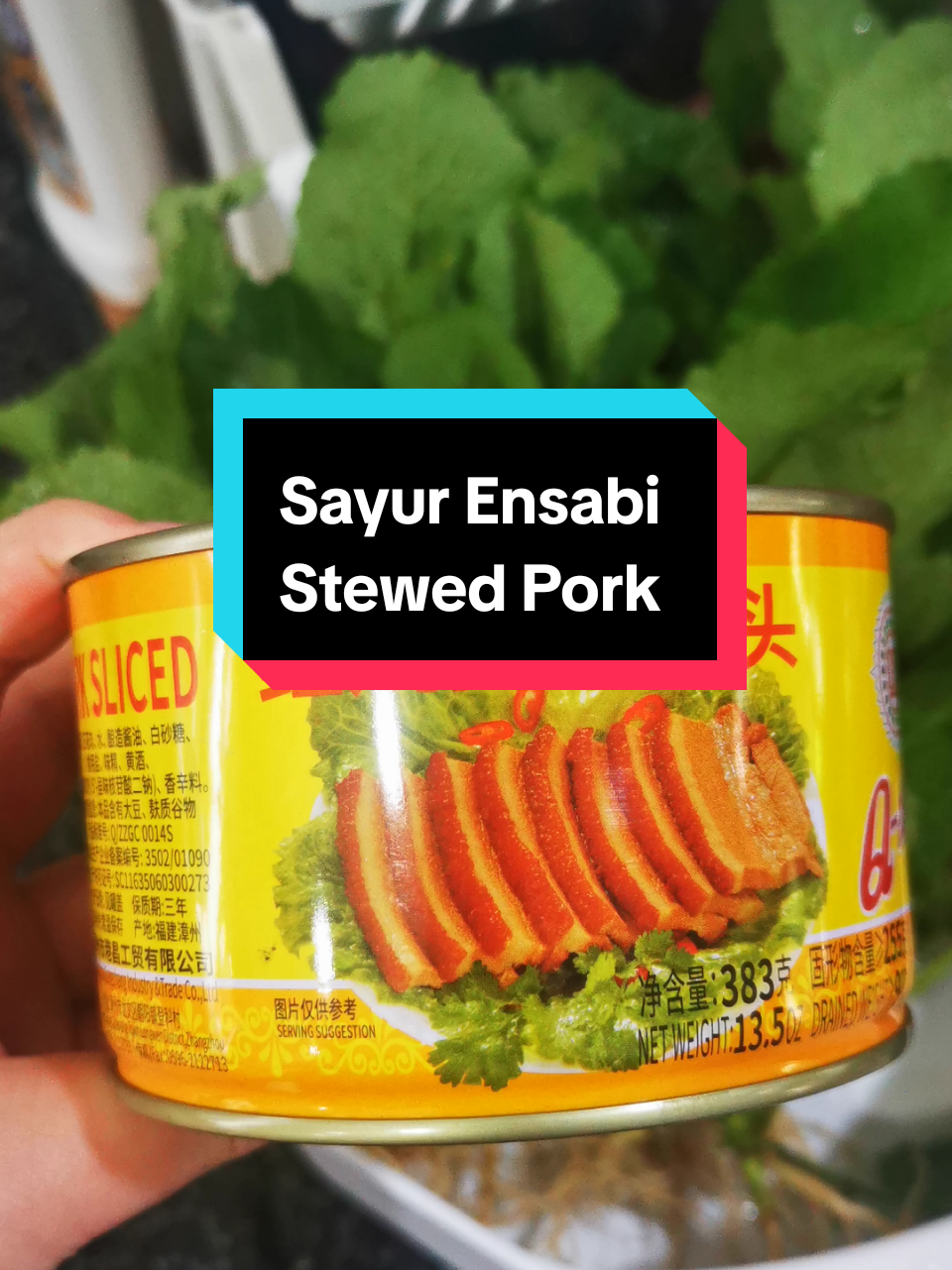 Gabungan sidikkk 💯 Nyesal masak sikit. Berebut we olls makan 😜😜😜 #tiktokbidayuh #ensabi #stewedpork #masakansimple #masakdirumah #fyp #foryourepage #xyzbca #xyzabc #sarawaktiktok #malaysiantiktok #food #Foodie #enak #homecooking 