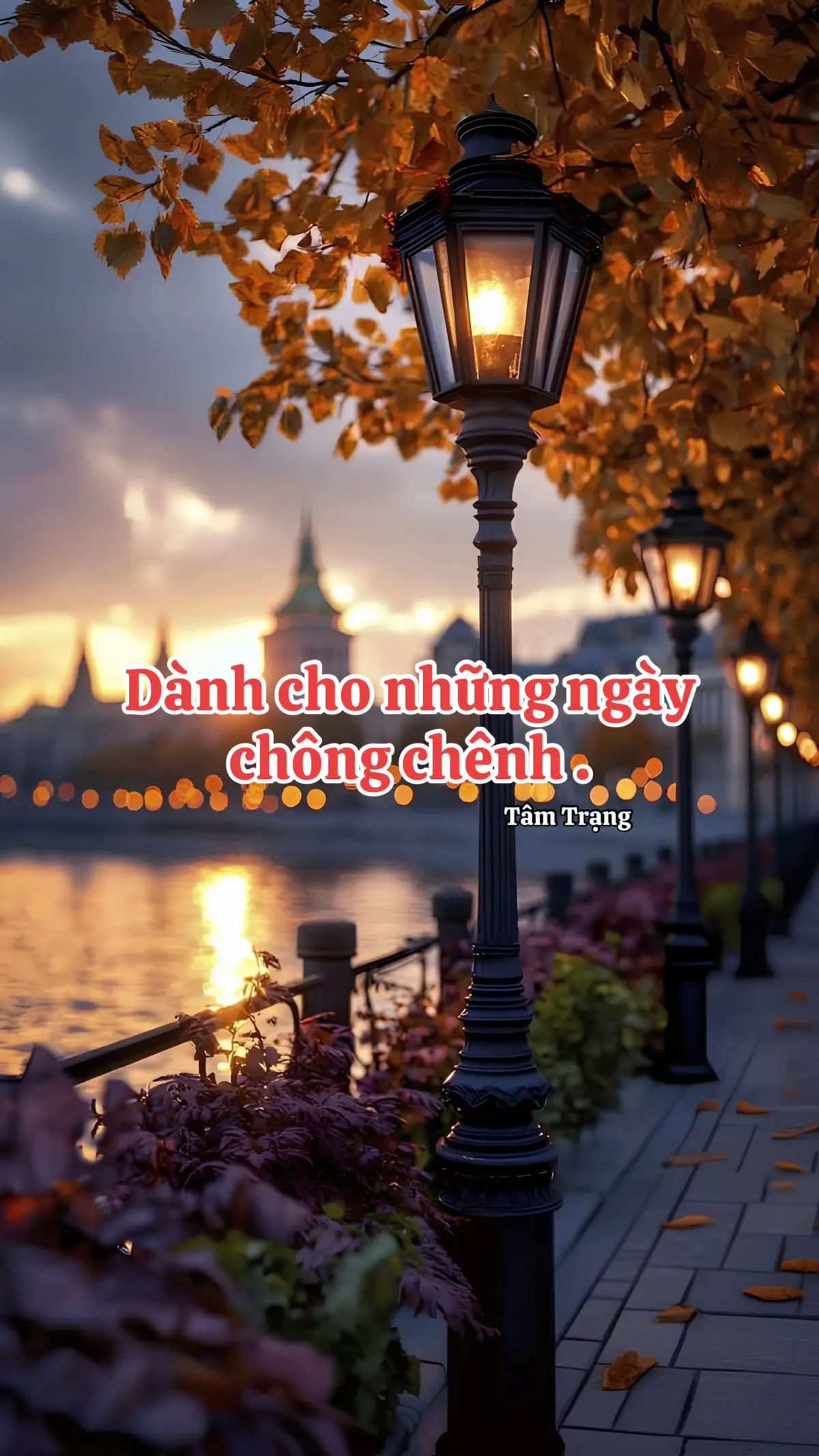 Chúng ta, ai rồi cũng có những ngày chông chênh như thế… Những ngày mà lòng nặng trĩu như mang cả bầu trời trên vai. Những ngày mà mọi thứ tưởng chừng như đang chống lại mình. Đôi khi chỉ một câu nói vô tình, một ánh nhìn xa lạ cũng đủ làm lòng ta thêm ngổn ngang. Nhưng bạn ơi… chẳng sao cả. Không ai trong chúng ta là hoàn hảo. Ai cũng có những vết xước trong tâm hồn, có những lần vấp ngã mà chính mình chẳng dám nhớ lại. Nhưng cũng nhờ những vết xước đó mà ta trưởng thành hơn, mạnh mẽ hơn và biết thương mình nhiều hơn. Nếu hôm nay bạn thấy mỏi mệt, hãy cho phép mình dừng lại một chút. Nghỉ ngơi thôi chứ đừng bỏ cuộc nhé! Cứ xem đây như một trạm dừng chân trên hành trình của chính mình. Hít thở sâu, nhắm mắt lại và buông bỏ những suy nghĩ đang dồn dập trong đầu. Có thể nơi này chẳng cho bạn được mọi thứ bạn muốn, nhưng tôi tin bạn sẽ tìm thấy sự đồng cảm. Ít nhất là sự chân thành thứ không thể nhìn thấy nhưng lại cảm nhận rõ nhất bằng trái tim. Và tôi mong rằng, dù ngày mai có ra sao, bạn vẫn sẽ đủ mạnh mẽ để bước tiếp. Hãy vững tin rằng đâu đó trên hành trình này, vẫn sẽ có người đủ kiên nhẫn, đủ bao dung để nắm tay bạn thật chặt và đồng hành cùng bạn vượt qua mọi giông tố. Bạn không hề đơn độc đâu… Hãy vững tin nhé! 🍀🍀🍀 #tamtrang2412 #content #xuhuong #xuhuongtiktok #fyp #foryou 