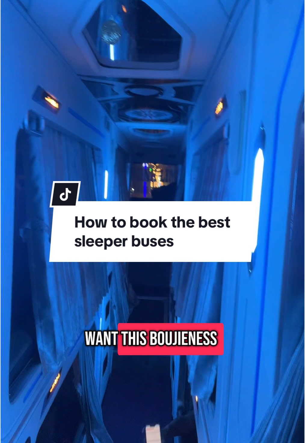 Thailand/Vietnam sleeper buses  which ones are best and how to book 🇹🇭 🇻🇳 🚌 #thailand #vietnam #travel 
