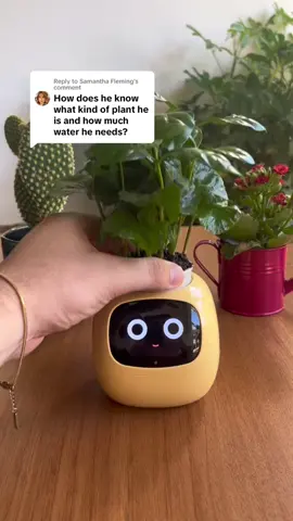 Buy 2 get 10% off 🌱 Check our website #ivysmartplant #plantagotchi #smartplant #plantrobot #plantpotrobot #ivy #ivyplant #instamademebuyit #fyp #fy #reels #reel #viral #trend #gift #perfectgift #giftideas 
