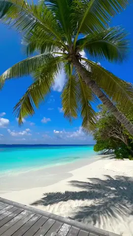 Baa Atoll Maldives 🌴☀️ #indianocean #crystalclearbluewater🌊 #tiktokmaldives🇲🇻 #fypシ゚ #whitesandbeach #sunnysideoflife☀️ #blueisland #viralvideo #beautifuldestinations #coralisland #worldnumberone 