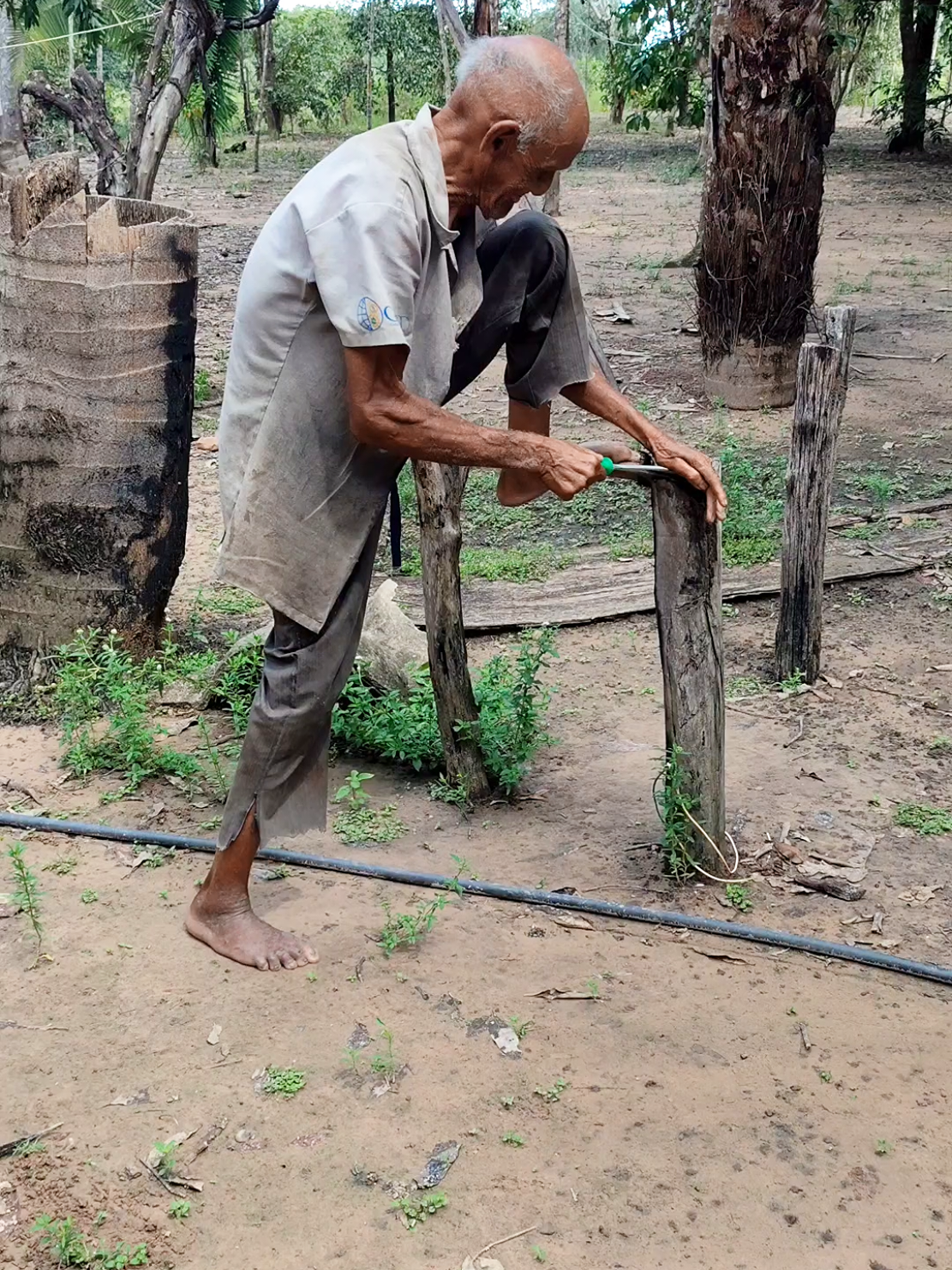 Vovô saudável 🙏🏽 #saude #vovô #90anos #pedroxavier #bençãodedeus #roça