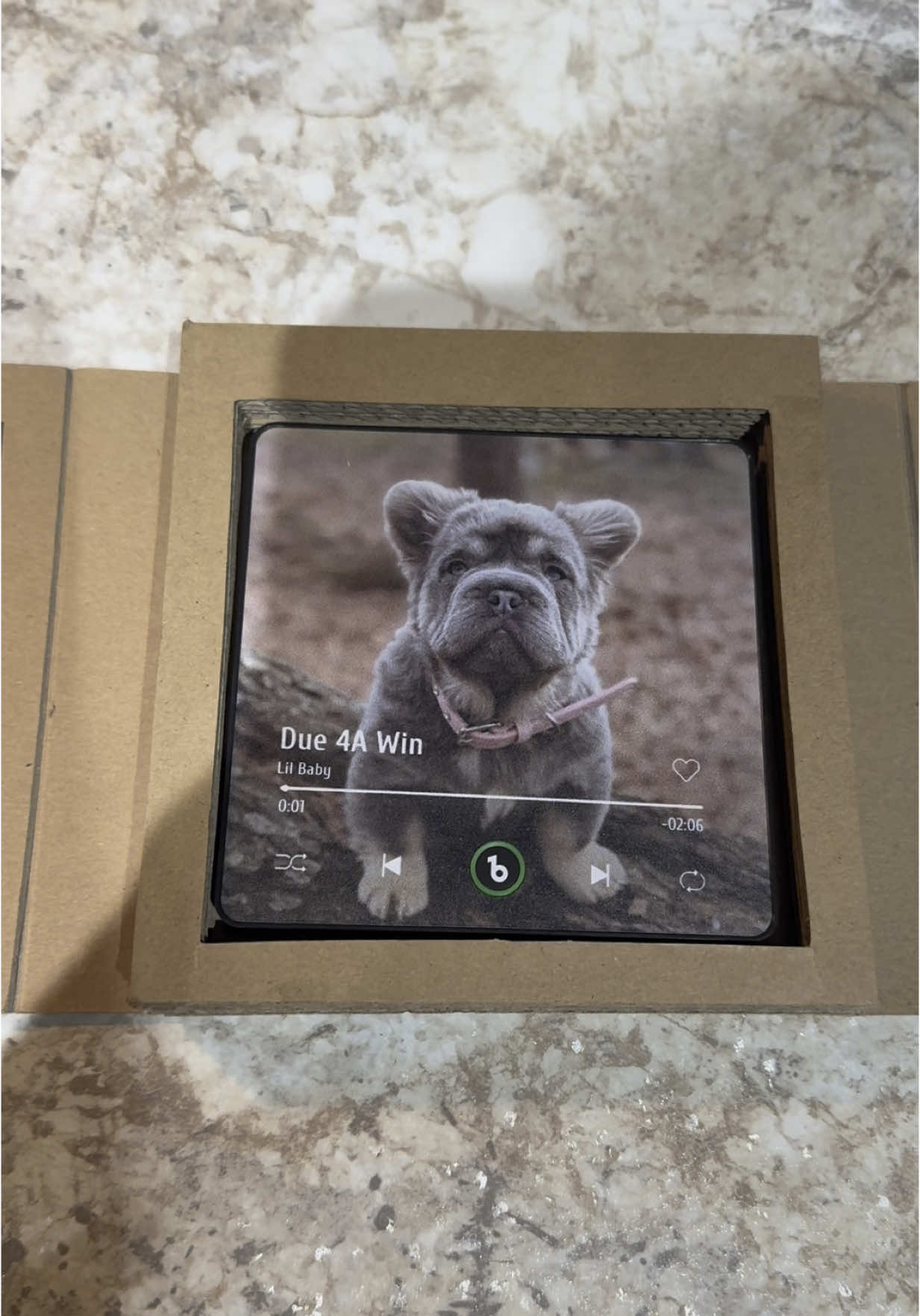 This product Is 🔥🔥🔥!!! #cashthefluffyga #fluffyfrenchie #frenchbulldog #cutedog #dog #dogneeds #musthaves #fridgemagnets #dogpictures #custom #due4awin #lilbaby 
