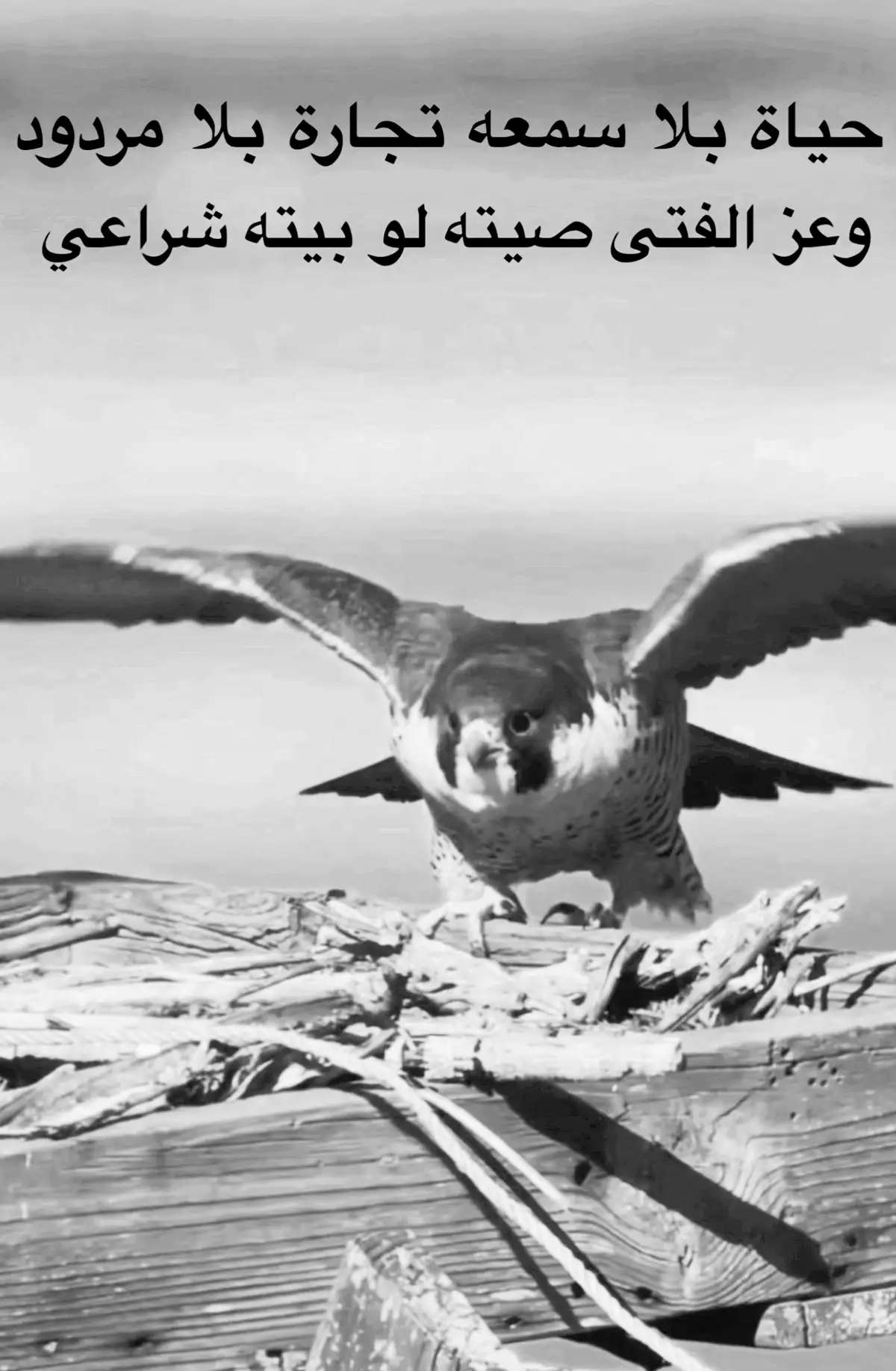 #مجرد________ذووووووق🎶🎵💞 #بوح #اكسلبور #🇸🇦 