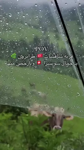 شافشات (Şavşat) - جنة مخفية في الشمال التركي 🌿🏔️ 📍 الموقع: تقع شافشات في ولاية أرتفين شمال شرق تركيا، بالقرب من الحدود مع جورجيا، وتُعتبر واحدة من أجمل المناطق الطبيعية في تركيا. 🌿 لماذا تُعرف شافشات بـ 