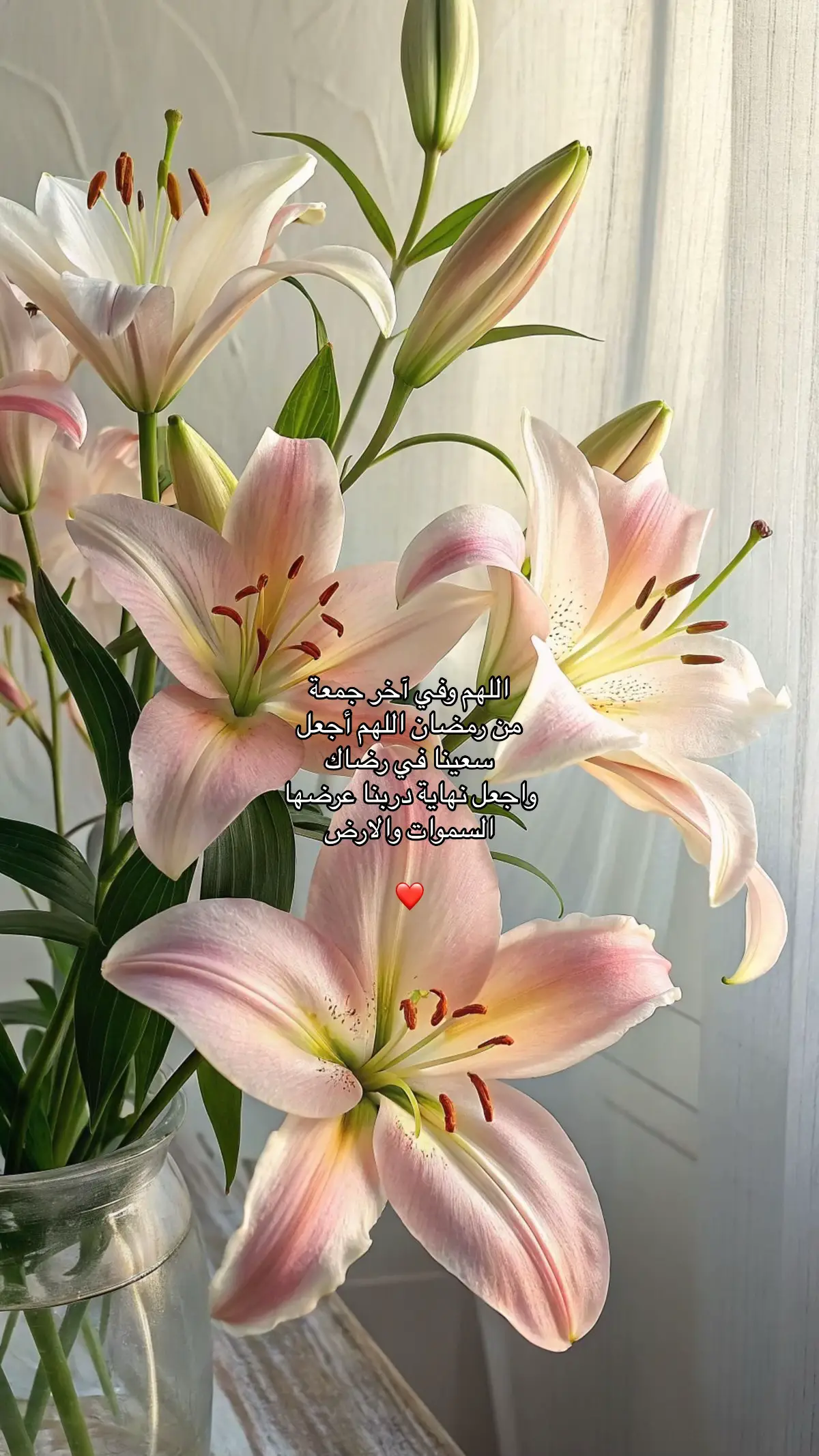 #اكسبلور #الحمدلله_دائماً_وابداً❤️ #اللهم_انك_عفو_تحب_العفو_فاعف_عنا #صدقه_جاريه_لفقيدي #اجر #الحمدالله_علی_کل_حال❤ #صدقه_جاريه_لجميع_اموات_المسلمين #fyp #foryou 