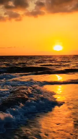 #paisagem música dos anos 80#pink floyd comfortably#🎵 