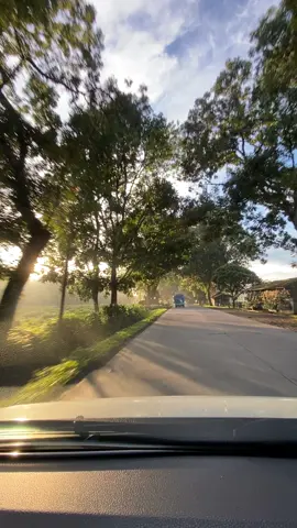Pesona Subang Selatan dipagi hari 🌿💚 #JelajahRamadan #urangsubang #subanghits #exploresubang #jelajahlembur #subangjawabarat #subang #jelajahsubang #RamadanDiTikTok #jalanansubang 