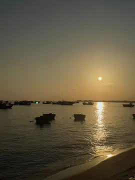 #xuhuong #viralvideo #canhdep #chill #binhyen 
