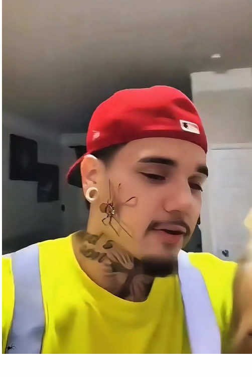 Spider filter🕷️🕸️#funny #interestingly #joyfulmoments #funnyvideo #laughter #mischievous #haha #funnymoments #videofunny 