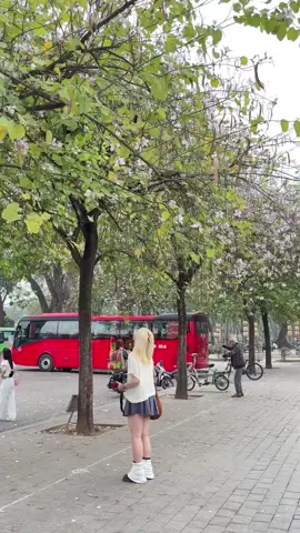 Mùa hoa nở 🌸