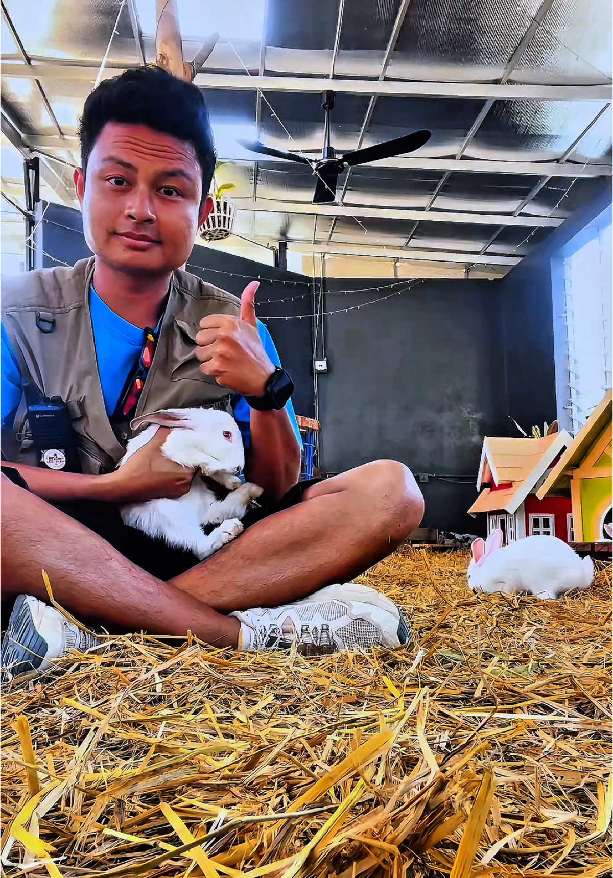 របៀបធ្វើឲ្យទន្សាយនៅស្ងៀម 🧑🏻‍🌾🐇🥳 #កសិទេសចរណ៍ #HayDay #keatfarm #កសិកម្ម #agritourism 