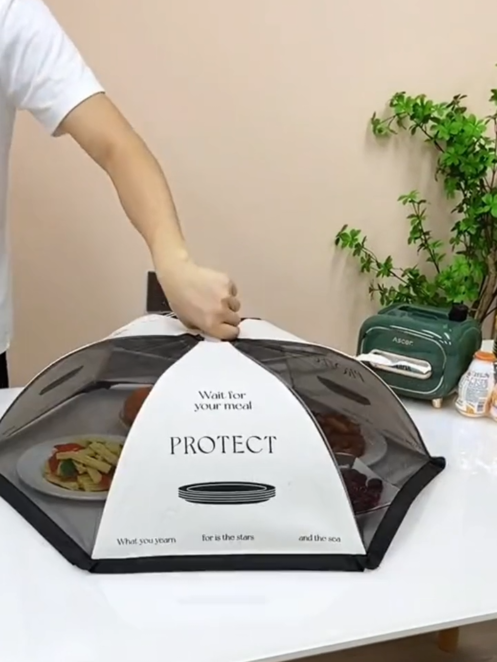 Lồng bàn gấp gọn đậy thức ăn #longban #longbangapgon #hangnoidiatrung #giadung 